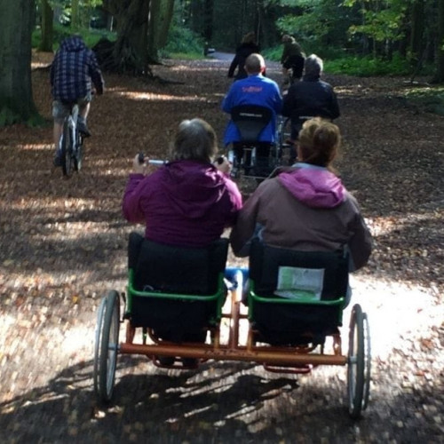 Adapted bike ride in woods