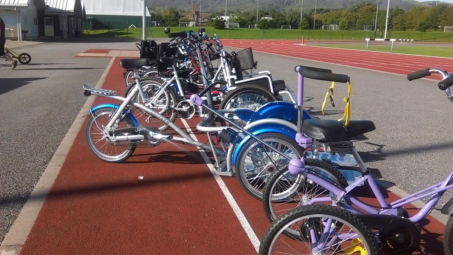 Cycle rack