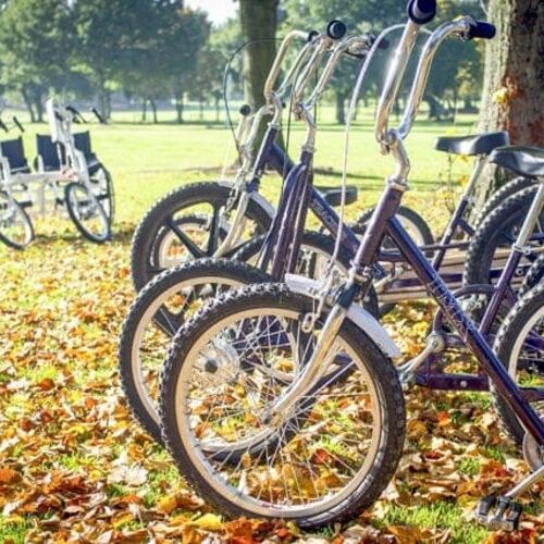 Rack of adapted bikes thumbnail