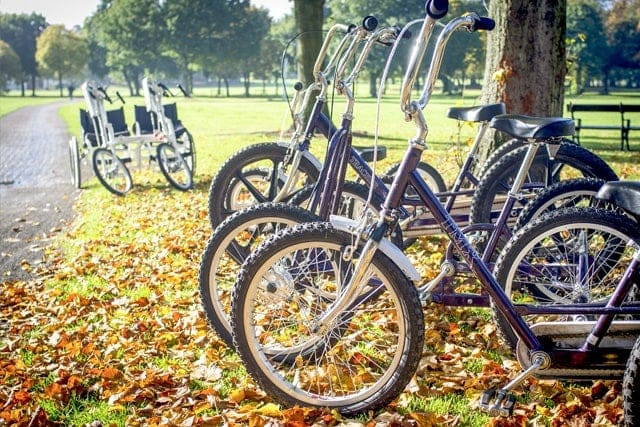 Rack of adapted bikes