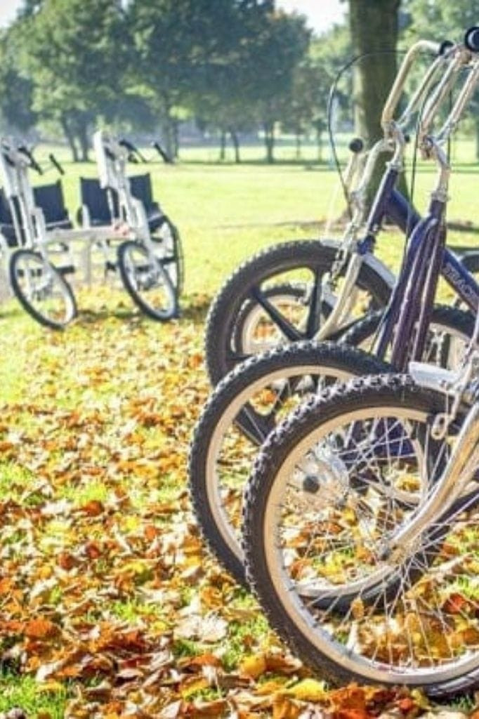 Line of bicycles