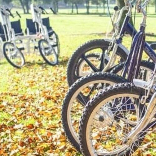 Line of bicycles thumbnail